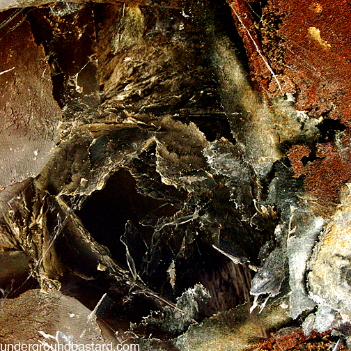 raw.rust.rustyeardrum