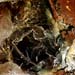 raw.rust.rustyeardrum