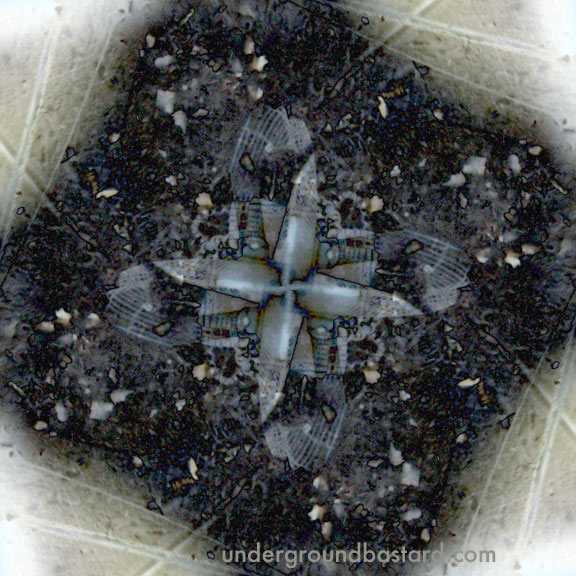 01.web.tap.microgallactic2