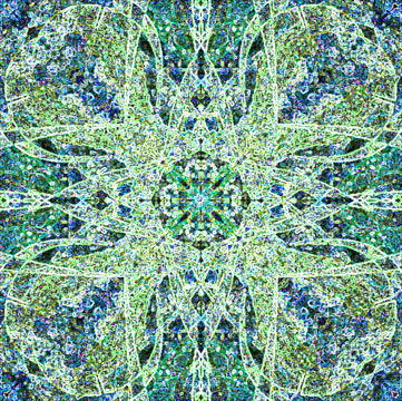 web.tap.scott1