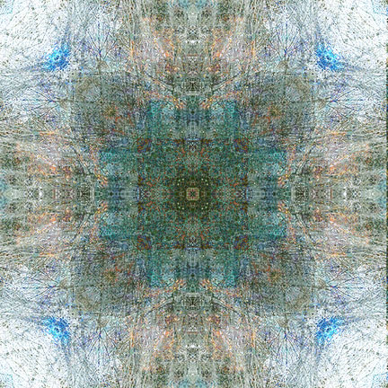 web.tap.sketch