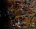 sol