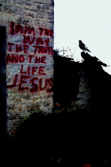 graffitus sanctus redux