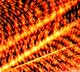 sol